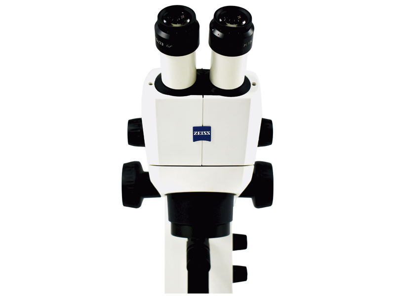 ESTEROMICROSCOPIO STEMI 305 BINOCULAR   CARL ZEISS
